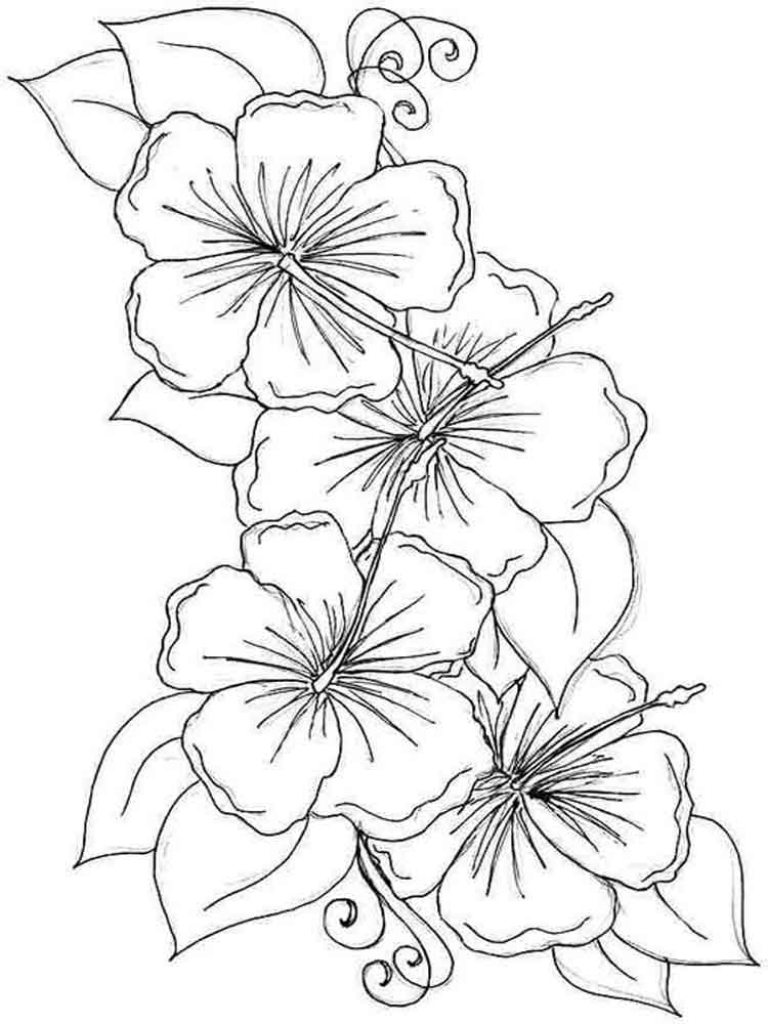 768x1024 Hibiscus Coloring Page Flower Pages Download And Print Umcubed
