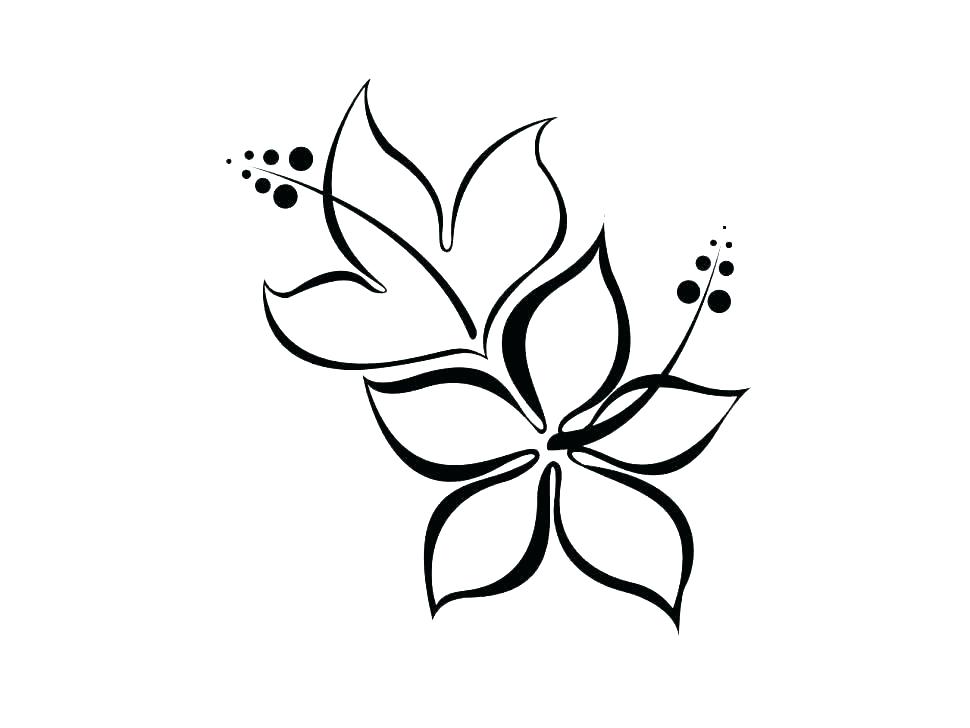 970x728 Printable Hibiscus Coloring Pages Vanda