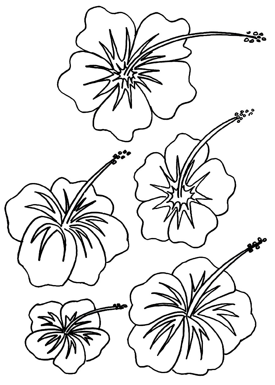 900x1260 Free Printable Hibiscus Coloring Pages For Kids