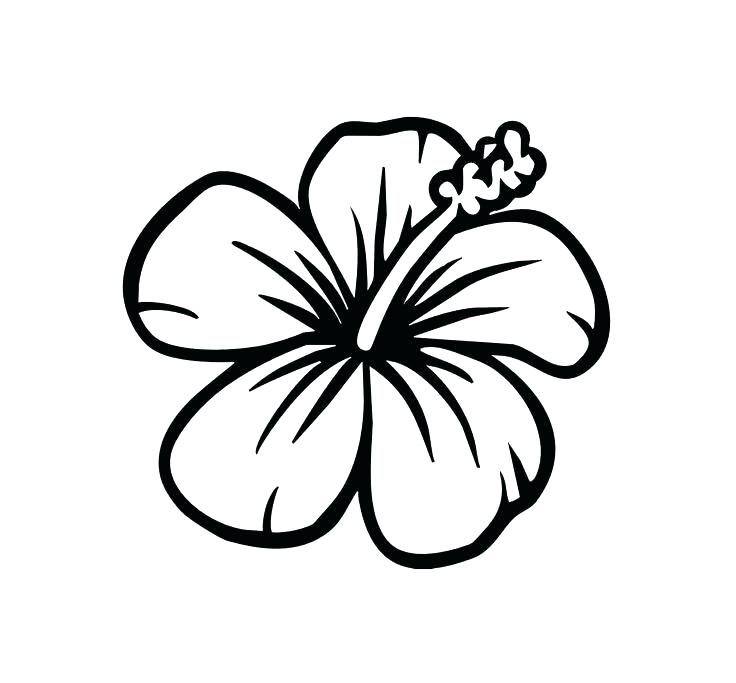 736x683 Hibiscus Coloring Pages Flowers Coloring Pages Simple Drawing How