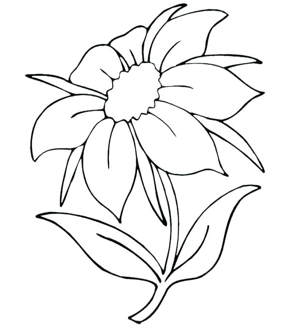 618x676 Hibiscus Flower Coloring Pages Hibiscus Flower Coloring Page