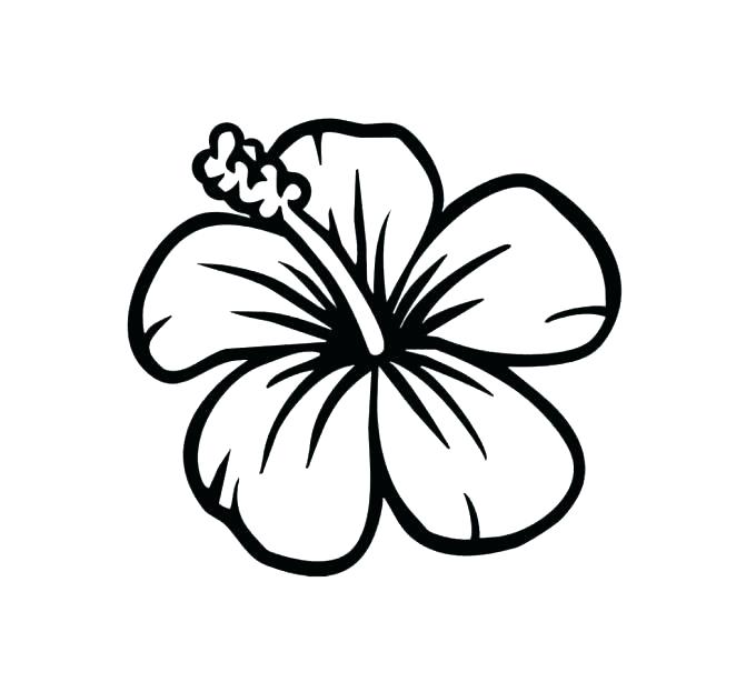 671x623 Hibiscus Flower Coloring Pages New Flowers Coloring Pages