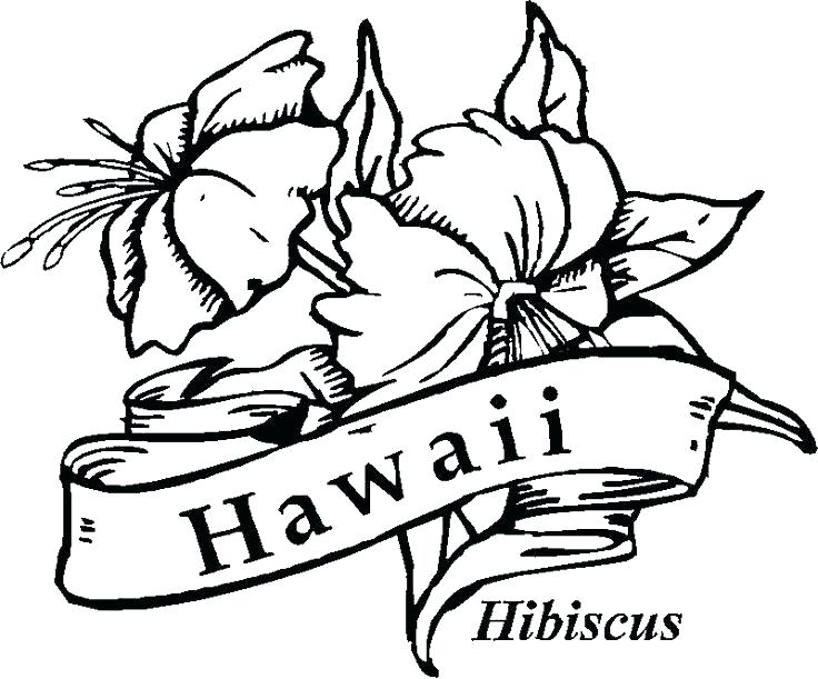 736x611 Hibiscus Flower Coloring Pages Flower Coloring Pages Free