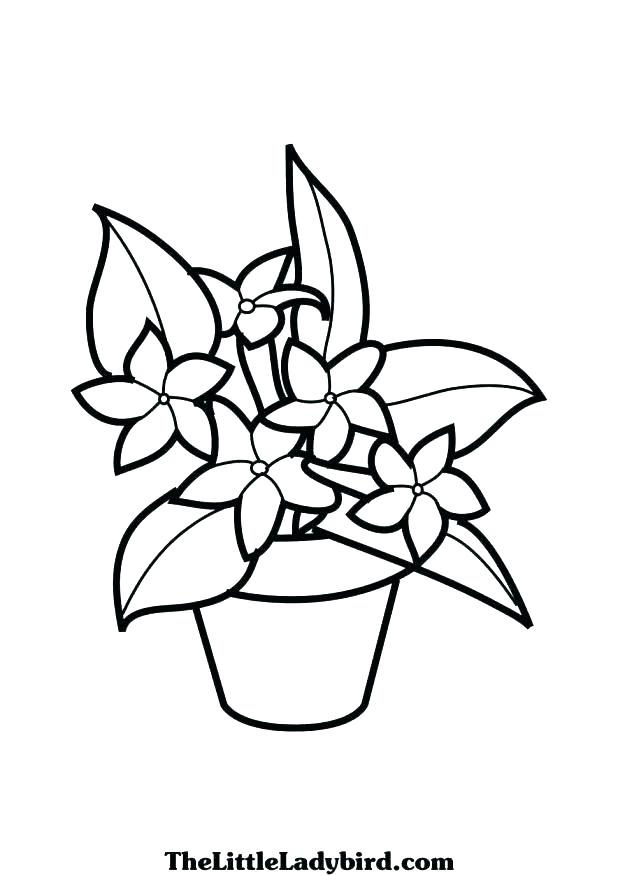 618x875 Hibiscus Flower Coloring Pages Hibiscus Coloring Page Hibiscus