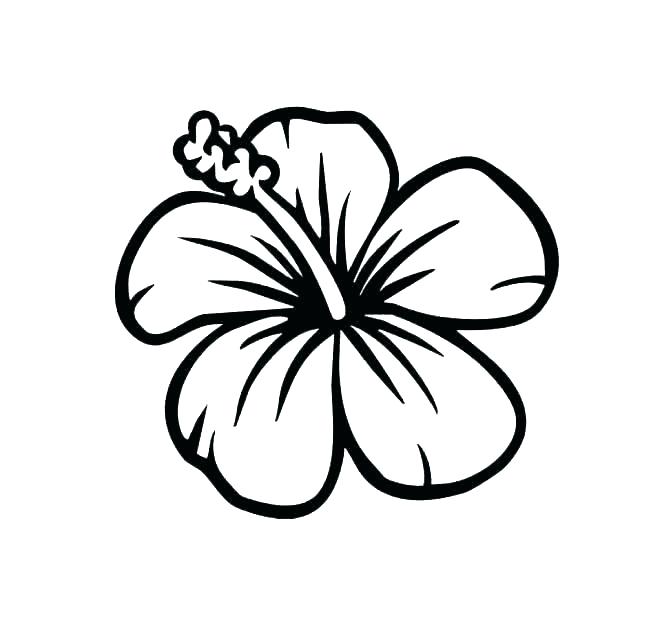 671x623 Hibiscus Flower Coloring Pages Hibiscus Flower Coloring Pages Free