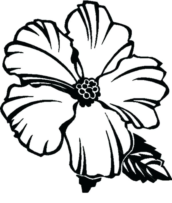 600x709 Mistletoe Coloring Page Free Printable Coloring Pages Part Picture