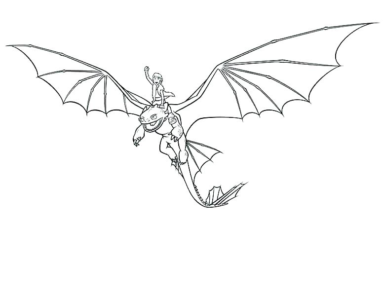 776x600 Hiccup Andothless Colouring Pages Night Fury Coloring How