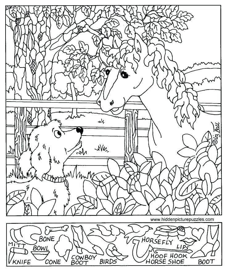 736x883 Hidden Picture Coloring Pages 7 Best Images Of Hidden Pictures