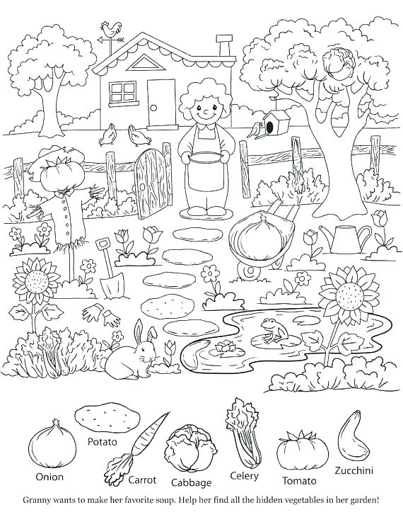 570x737 Hidden Pictures Coloring Pages Hidden Pictures Publishing Hidden