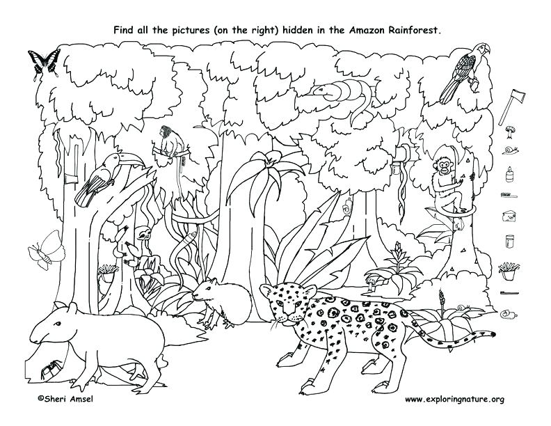 792x612 Hidden Pictures Coloring Sheets Ables Halloween Hidden Pictures