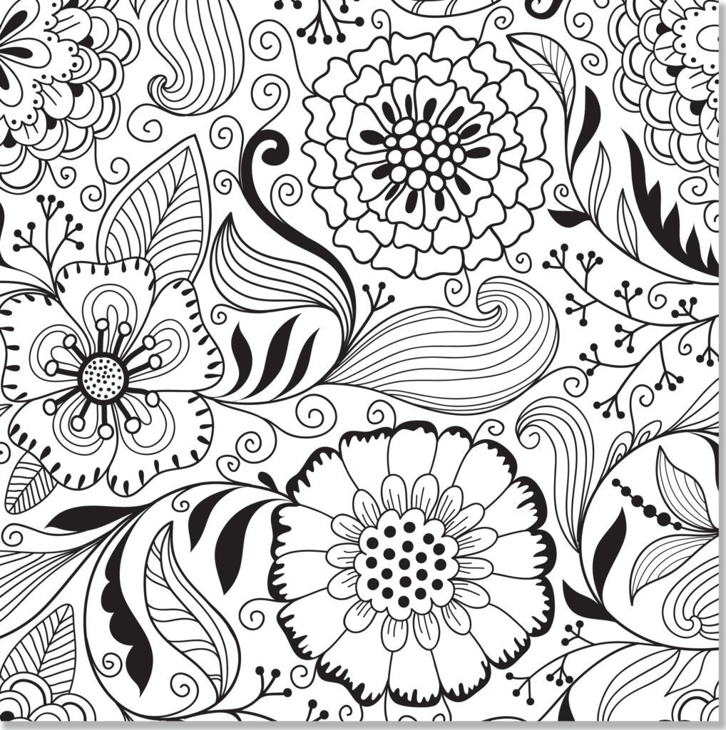1018x1024 High Quality Coloring Pages