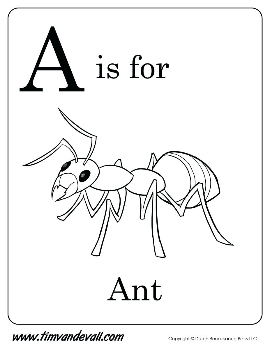 927x1200 Exclusive Ant Color Page Informative 12 Best O