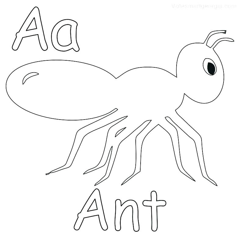 787x787 Ant Coloring Page Ant Ant Hill Coloring Page