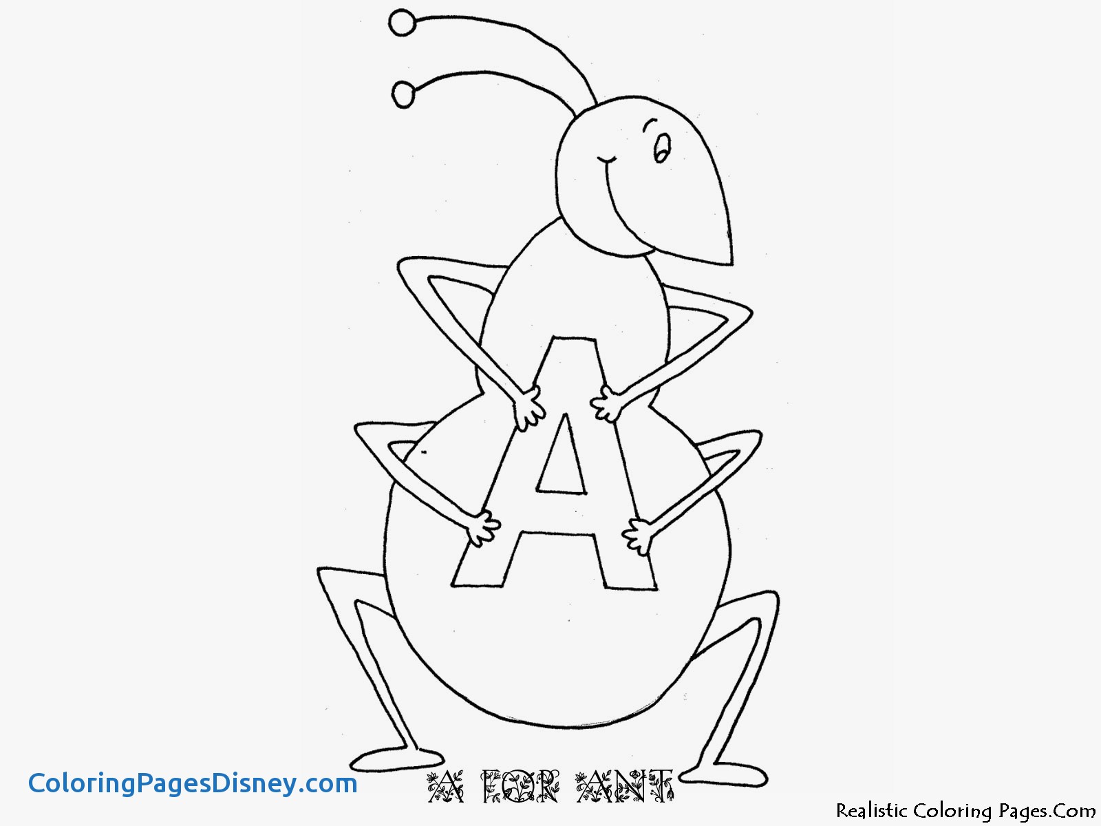 1600x1200 Ants Coloring Pages Elegant Ant Hill Coloring Pages