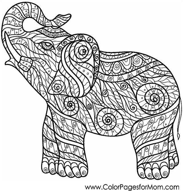 640x668 324 Best Colouring~elephants~zentangles Images