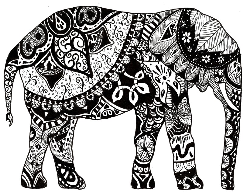 800x641 Adult Coloring Page India Indian Elephant 9