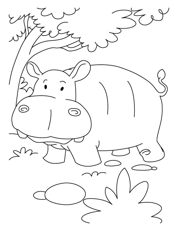 612x792 Hippo Coloring Pages Hippopotamus In Coloring Pages Hippo Coloring