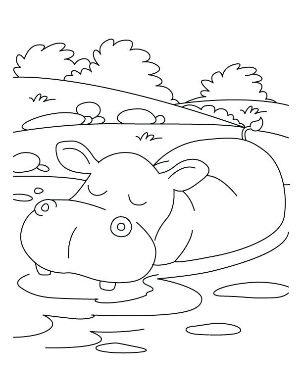612x792 Hippo Coloring Pages Mural Hippo With Baby Reversed Coloring Page