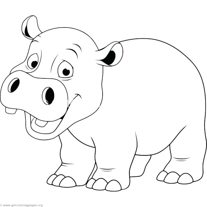 700x700 Baby Hippo Coloring Pages