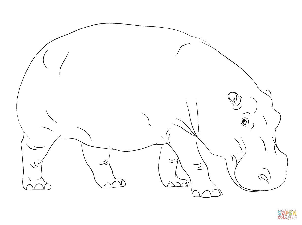 1228x916 Coloring For Kids Baby Hippo Pages Cute Singular Page Free Sheet