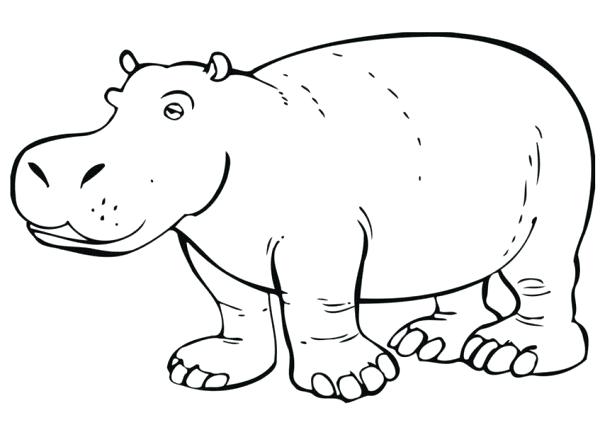 600x425 Hippo Coloring Pages Free Cute Hippo Coloring Pages Baby Printable