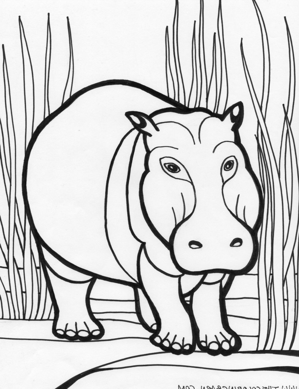 1000x1299 Hippo Coloring Pages Printable Hippo Coloring Pages For Kids 50