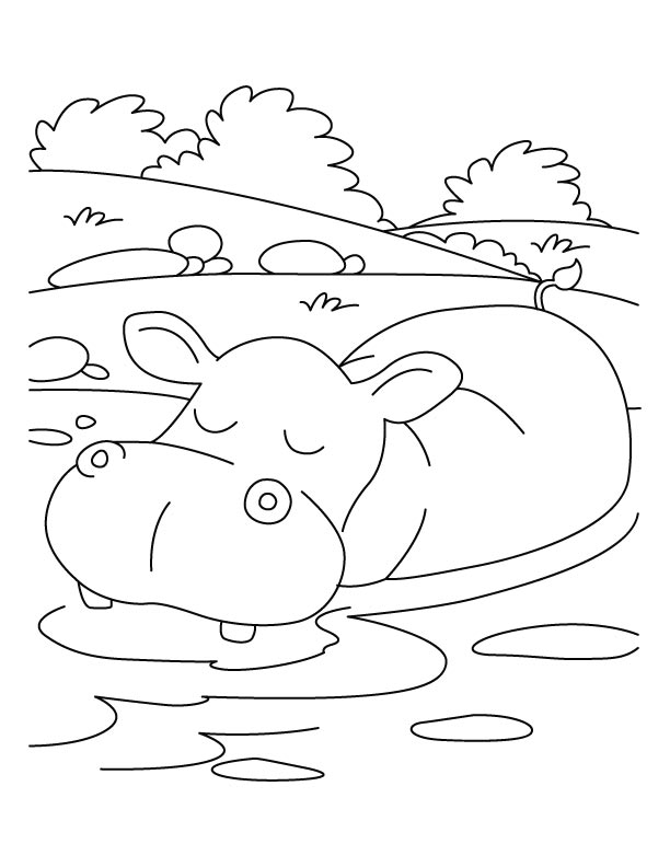 612x792 Hippopotamus In Relaxing Mood Coloring Pages Download Free