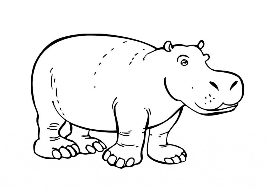 1024x731 Free Hippo Coloring Pages Printable Drawn Baby Animal Page