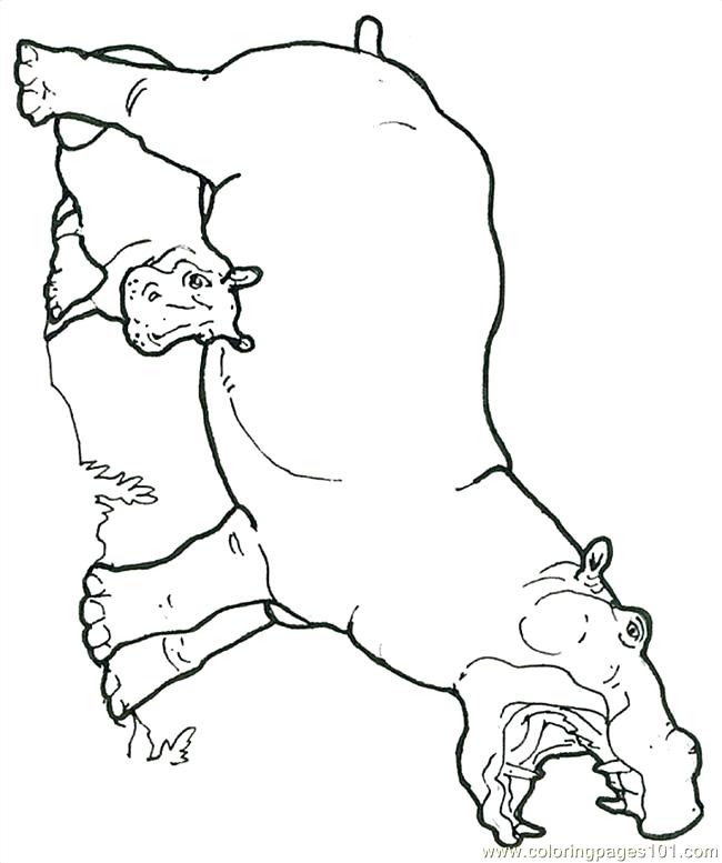 650x777 Coloring Page Hippo Mural Hippo With Baby Reversed Coloring Page