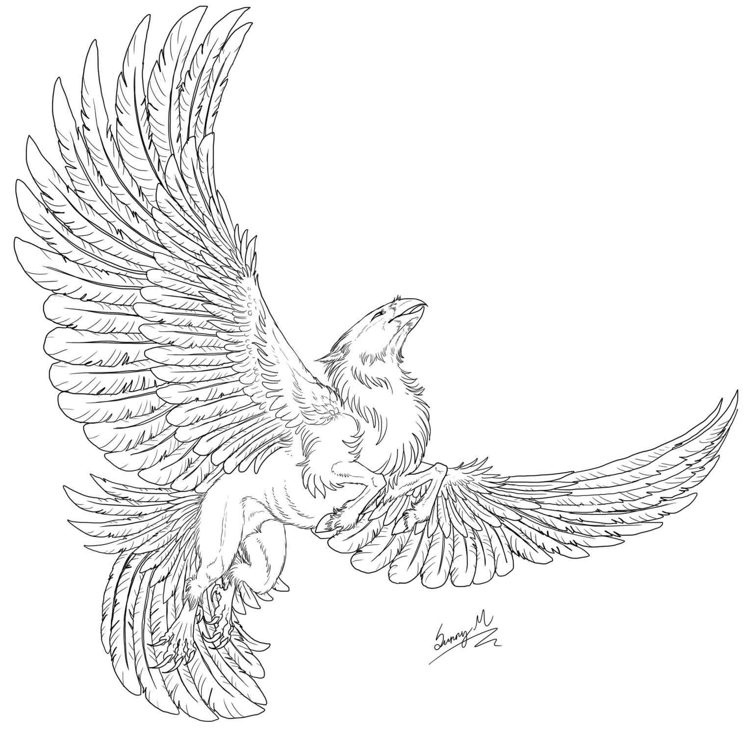1517x1517 Griffin Gif Click See How Hippogriff Coloring Pages To Draw