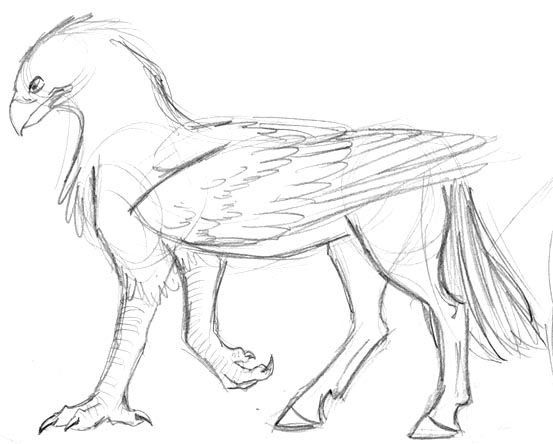 553x444 Buckbeak Coloring Pages Harry Potter Coloring Pages Hermione