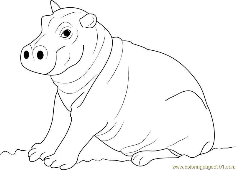 800x577 Hippopotamus Coloring Pages