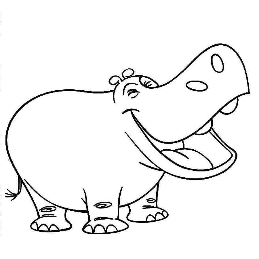 900x900 Cute Baby Hippo Coloring Pages Page For Kids Futpal To Download
