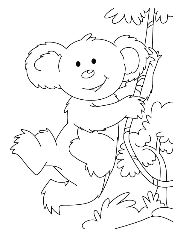 612x792 Types Of Cells Coloring Pages