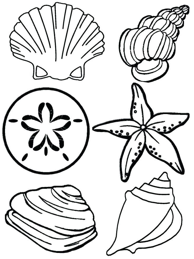 736x981 Beach Coloring Beach Printable Coloring Pages Beach Coloring Page