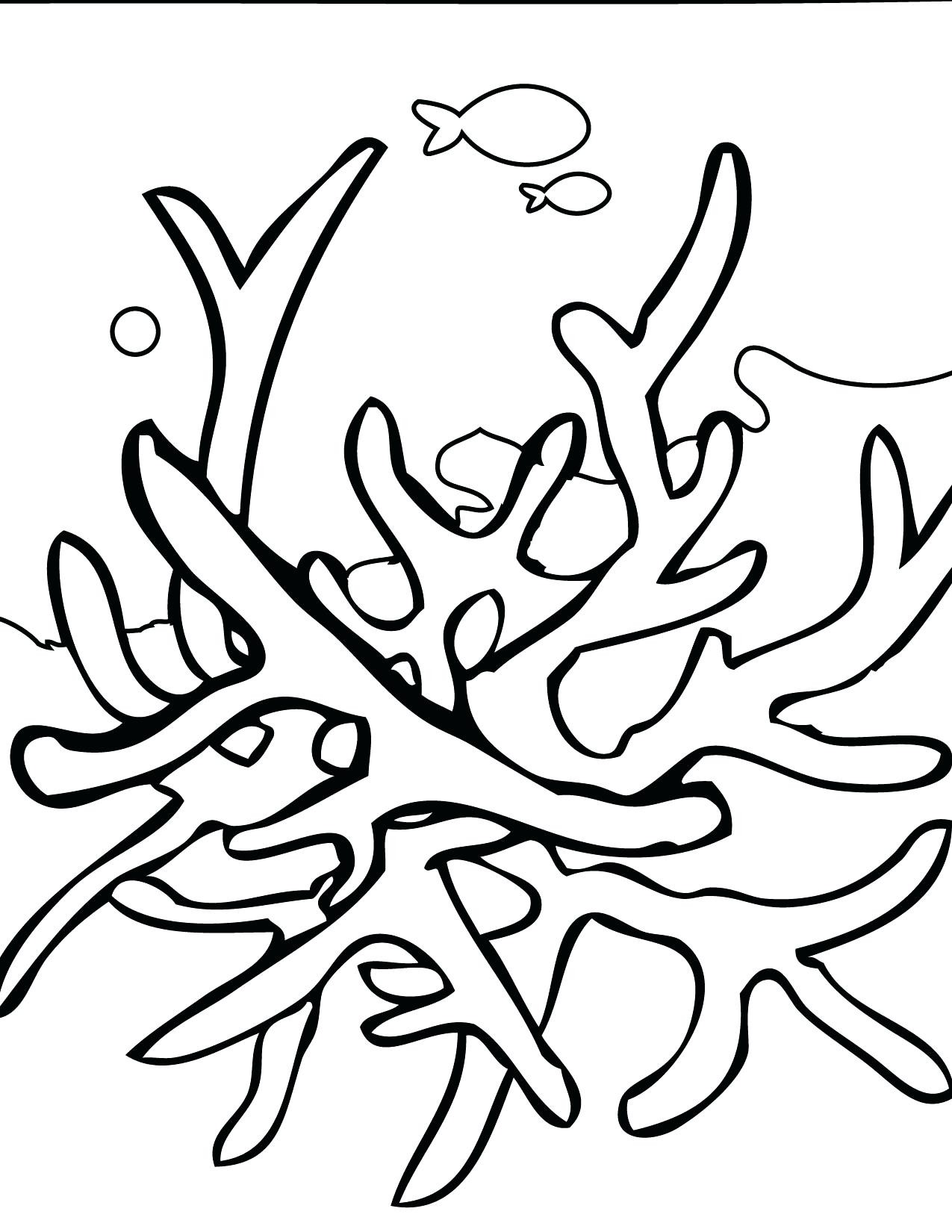 1275x1650 Hockey Rink Coloring Pages Copy Copy Hockey Rink Coloring Pages
