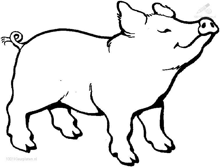 756x576 Hog Coloring Pages