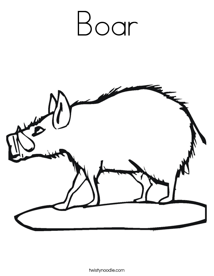685x886 Boar Coloring Page