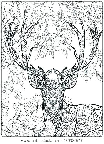 341x470 Hunting Coloring Pages Bear Hunting Coloring Pages Hog Hunting