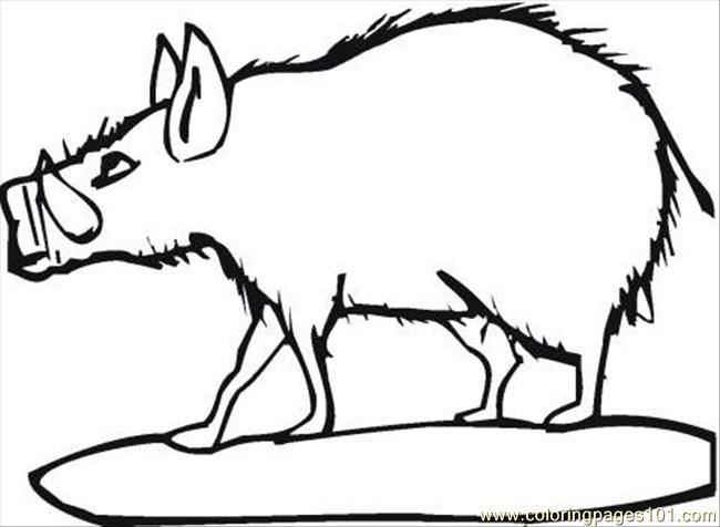 650x476 Boar Coloring Pages