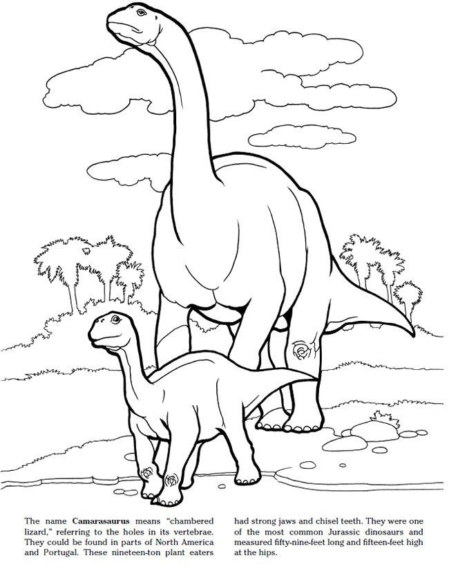 650x823 Jurassic Dinosaurs Coloring Pages