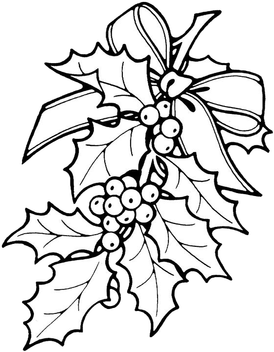 560x720 Printable Christmas Ornament Patterns Christmas Holly Coloring
