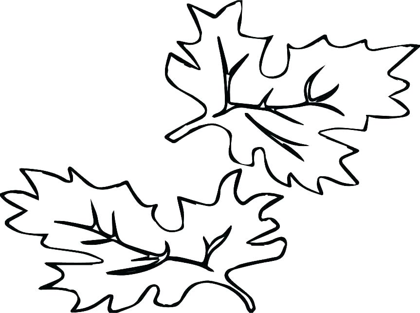 863x643 Holly Leaves Coloring Pages Kids Coloring Coloring Page Of Leaves