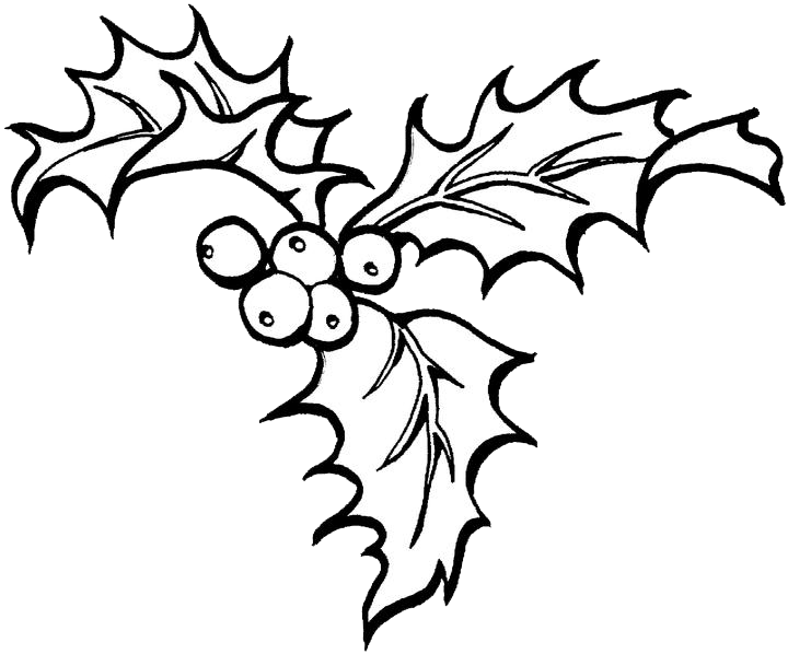 720x598 Christmas Holly Coloring Pages