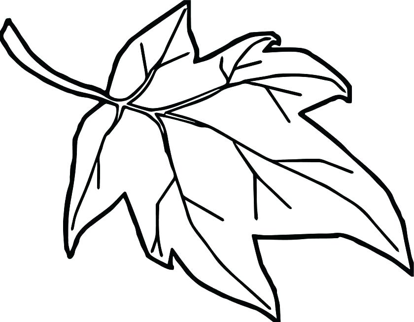 840x653 Leaf Printable Coloring Pages Leaves Printable Coloring Pages Free