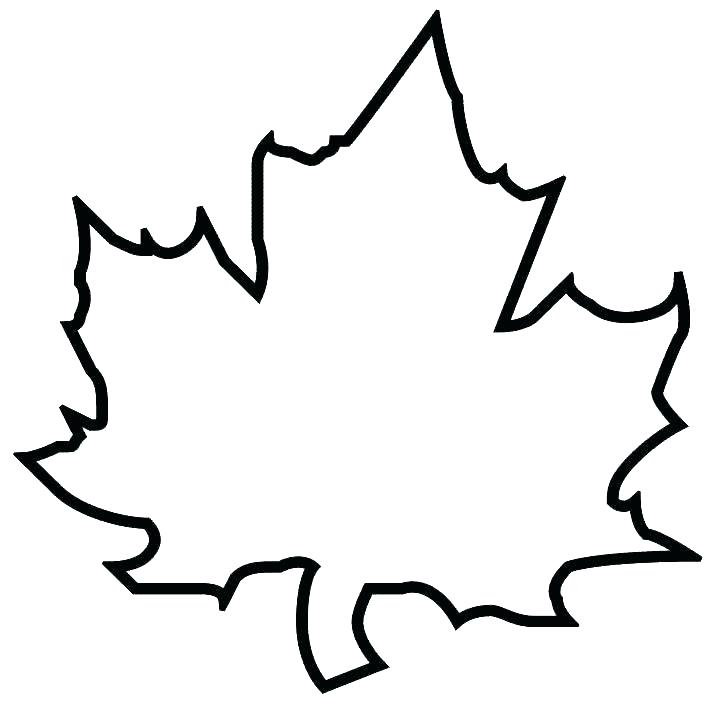 714x714 Leaves Coloring Pages Download And Jungle Leaves Coloring Pages