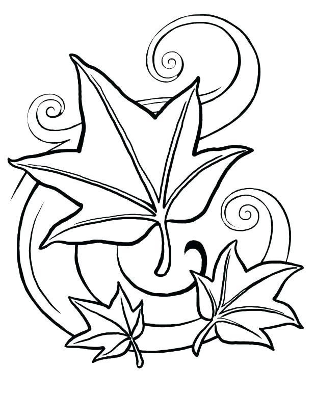 618x773 Coloring Pages Of Leaves Fall Leaf Coloring Page Leaves Coloring