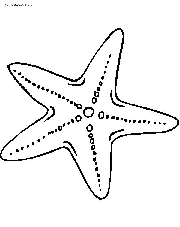 600x756 Hollywood Star Template Printable Printable Coloring Star Fish