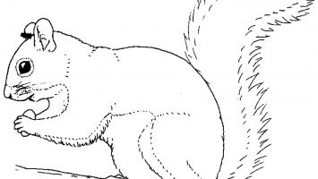 355x200 Hollywood Themed Coloring Pages Free Coloring For Kids 2018