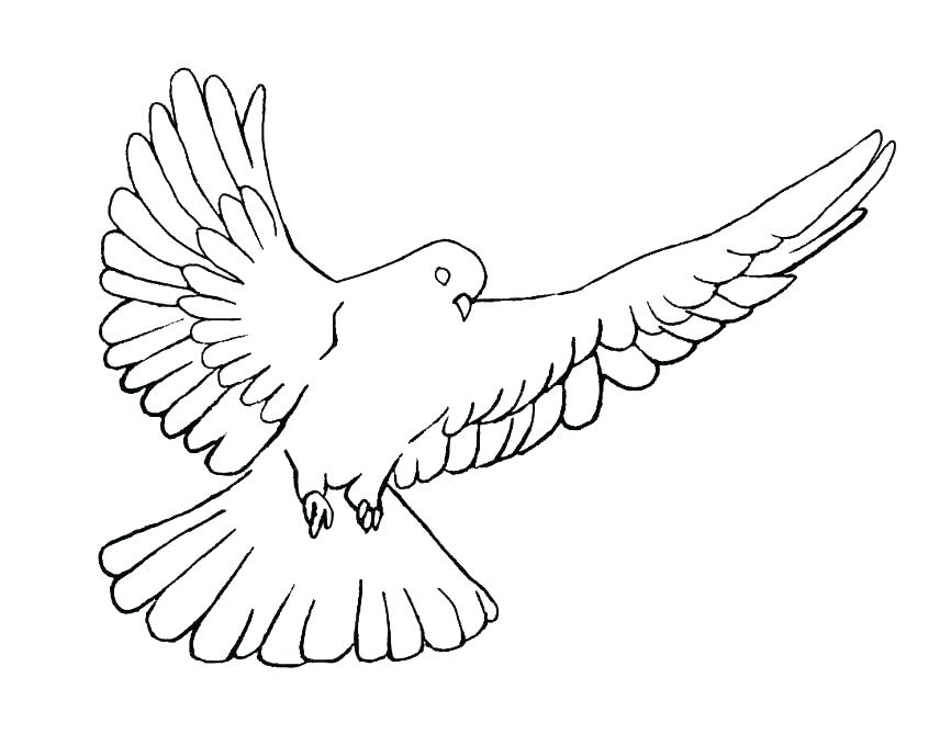 866x669 Fruits Of The Spirit Coloring Pages Fruit Of The Spirit Coloring